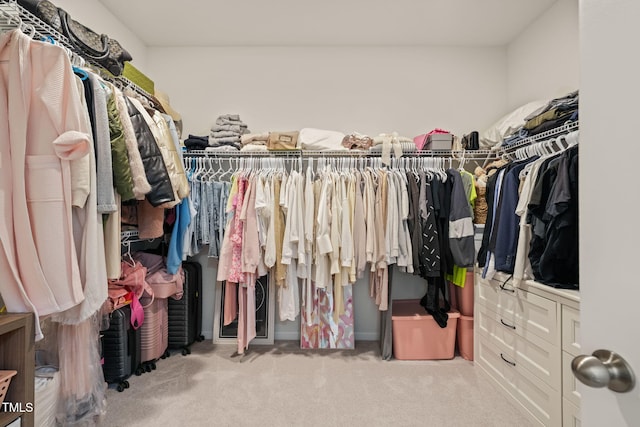 spacious closet with carpet floors