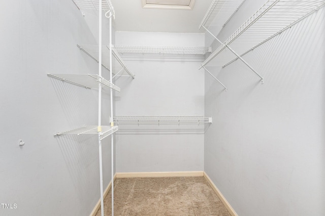 17 Crystal Oaks Ct, Durham, NC 27707 - spacious closet featuring carpet floors