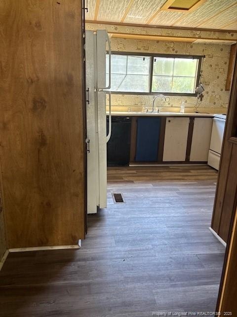 5689 NE Maxwell Rd NW, Stedman, NC 28391 - kitchen with stove, dark wood-style floors, and light countertops