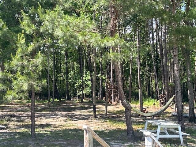 5689 NE Maxwell Rd NW, Stedman, NC 28391 - view of yard