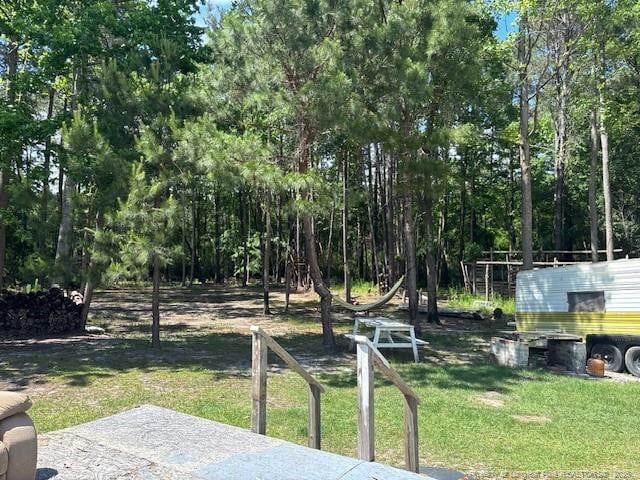5689 NE Maxwell Rd NW, Stedman, NC 28391 - view of green lawn