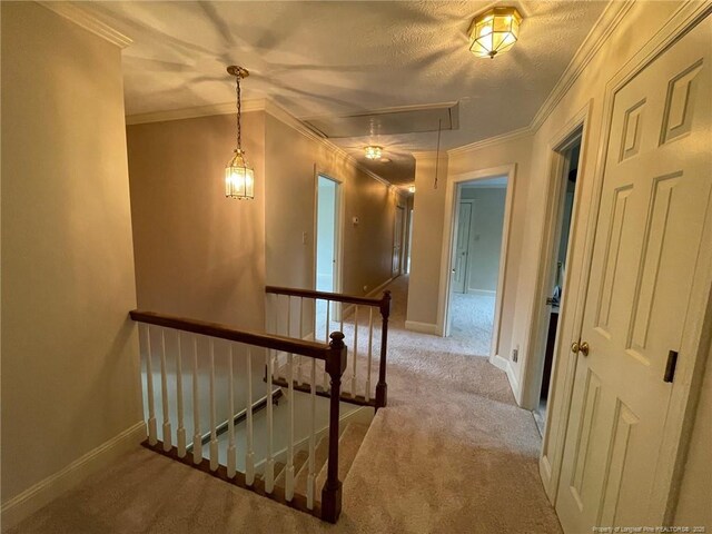 3509 Prestwick Dr, Fayetteville, NC 28303 - photo 28