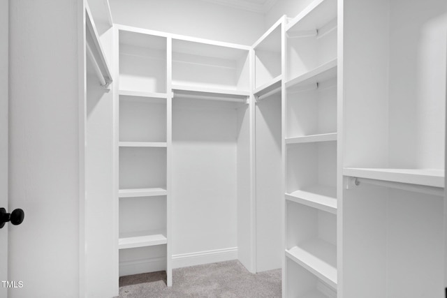 spacious closet with carpet floors