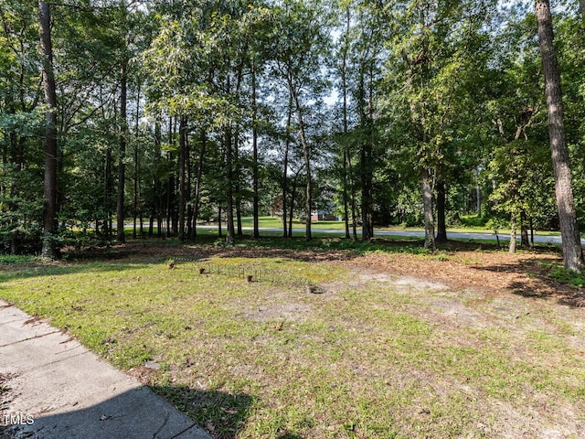 301 Monterey Ct, Benson, NC 27504 - view of yard
