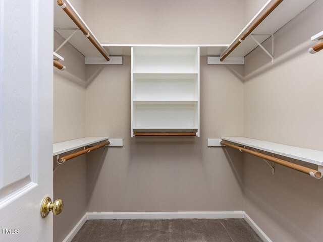301 Monterey Ct, Benson, NC 27504 - spacious closet with carpet flooring