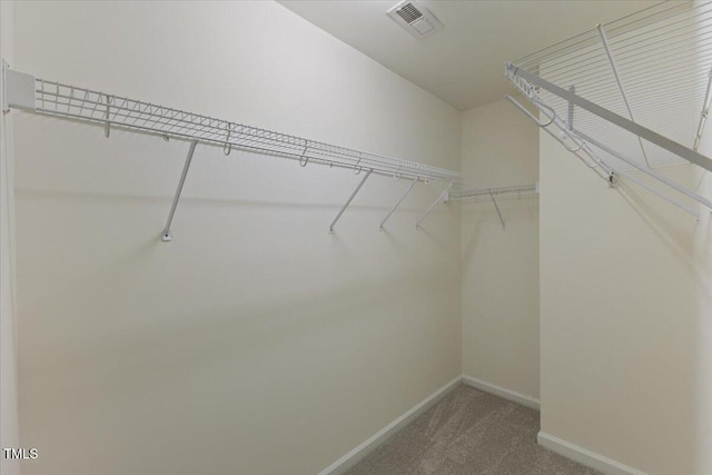 spacious closet featuring carpet floors
