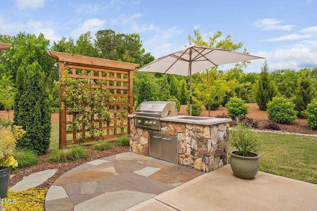 829 Churton Pl, Cary, NC 27518 - view of patio / terrace featuring a grill and exterior kitchen
