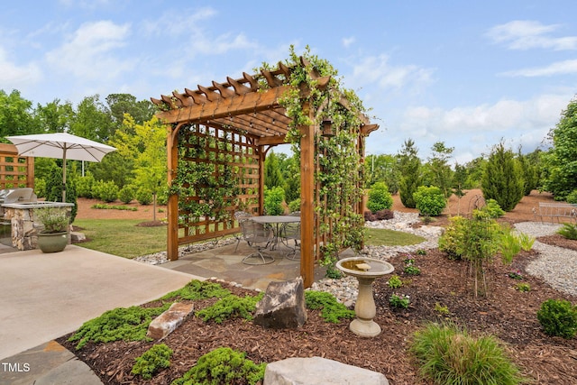 829 Churton Pl, Cary, NC 27518 - view of patio with a pergola, an outdoor kitchen, and outdoor dining space
