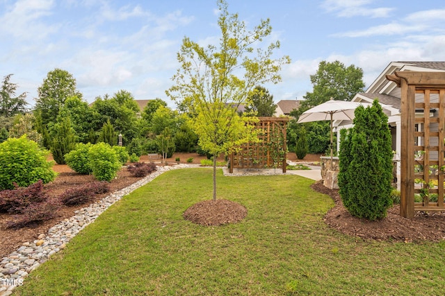 829 Churton Pl, Cary, NC 27518 - view of grassy yard