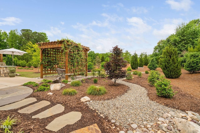 829 Churton Pl, Cary, NC 27518 - view of yard featuring a pergola and a patio area