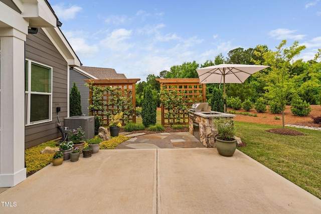 829 Churton Pl, Cary, NC 27518 - view of patio featuring cooling unit, a grill, and area for grilling