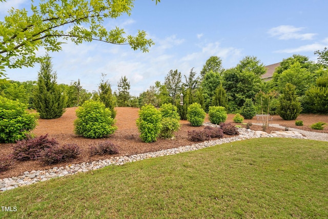 829 Churton Pl, Cary, NC 27518 - view of green lawn