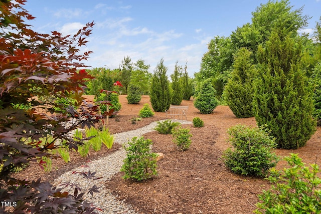 829 Churton Pl, Cary, NC 27518 - view of yard
