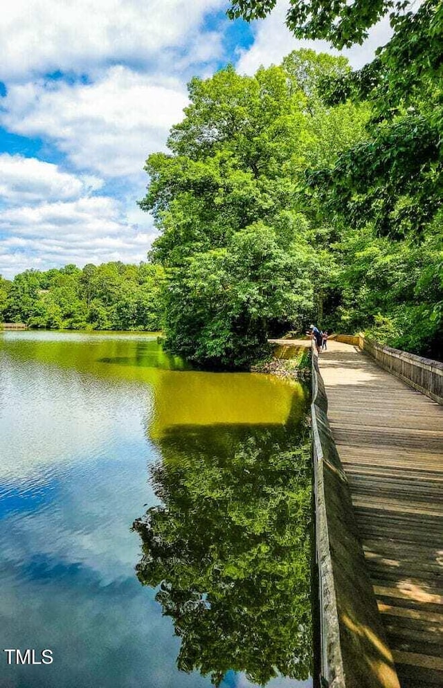 3204 Plaza Pl, Raleigh, NC 27612 - water view with a forest