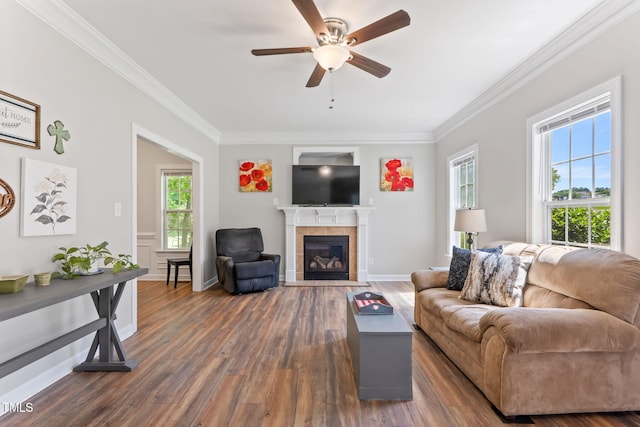 347 Manchester Trl, Clayton, NC 27527 - photo 8