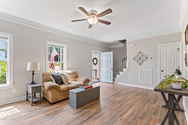 347 Manchester Trl, Clayton, NC 27527 - photo 10