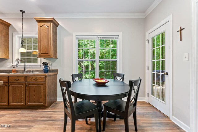 347 Manchester Trl, Clayton, NC 27527 - photo 19