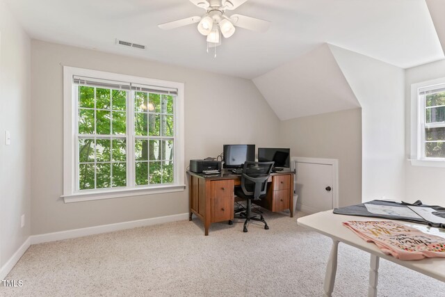 347 Manchester Trl, Clayton, NC 27527 - photo 38