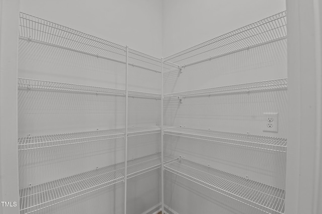 125 Shadowdale Ln, Rolesville, NC 27571 - view of pantry