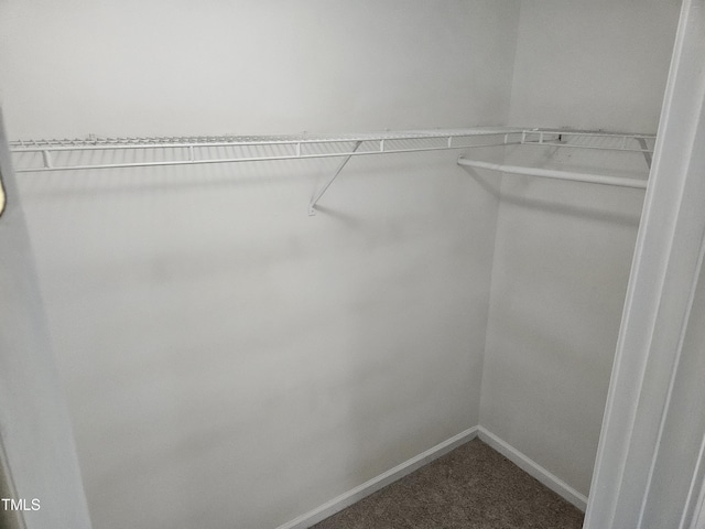 spacious closet featuring carpet floors