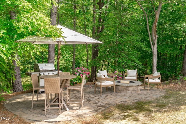 2711 Jordan Pointe Blvd, New Hill, NC 27562 - view of patio featuring an outdoor fire pit, grilling area, and outdoor dining area