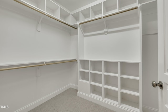 spacious closet with carpet flooring