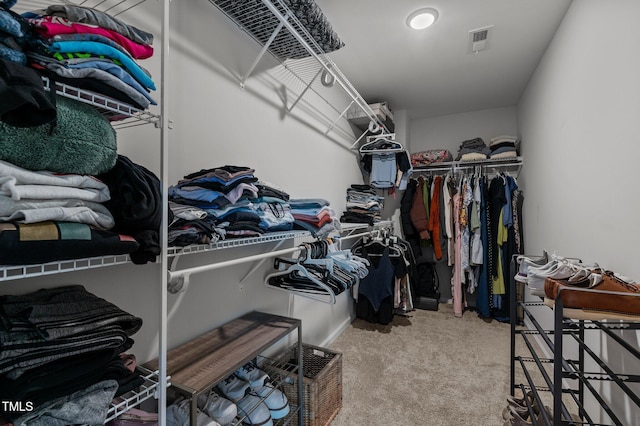 8925 Lee Brown Ridge Dr, Wake Forest, NC 27587 - spacious closet featuring carpet flooring