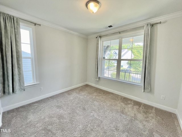 8813 Moss Glen Dr, Raleigh, NC 27617 - unfurnished room with crown molding, healthy amount of natural light, carpet flooring, and baseboards