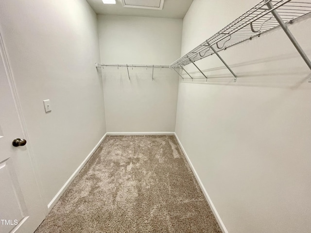 8813 Moss Glen Dr, Raleigh, NC 27617 - walk in closet with carpet