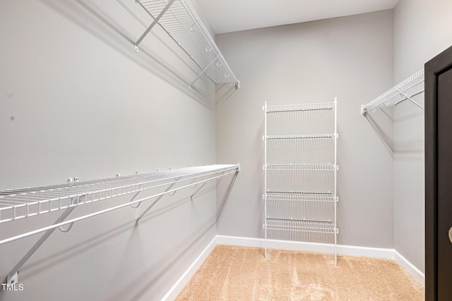 walk in closet with light carpet