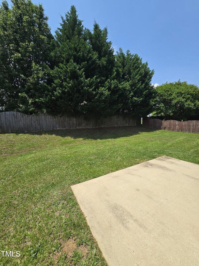 view of yard featuring a patio area