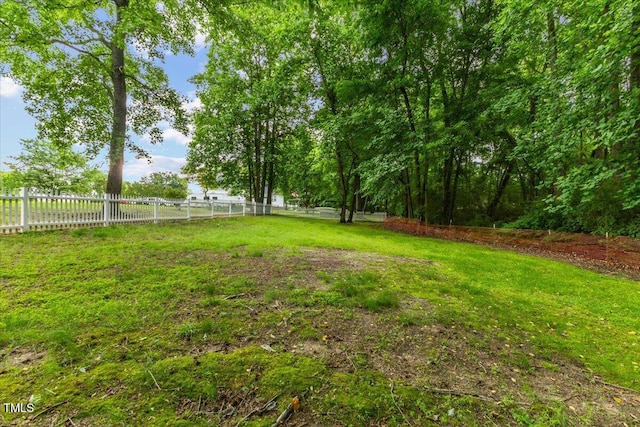 119 Valleycastle Ct, Clayton, NC 27520 - photo 43