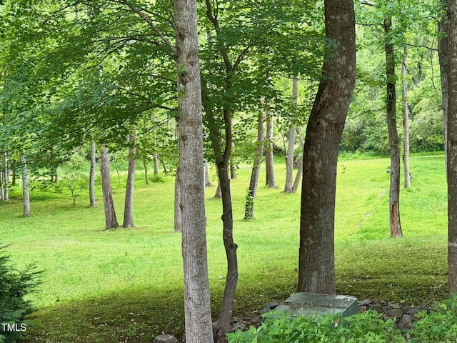 327 Beavertail Rd, Henderson, NC 27537 - view of green lawn