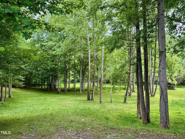 327 Beavertail Rd, Henderson, NC 27537 - view of green lawn