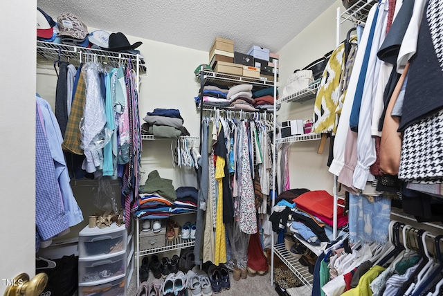 view of spacious closet