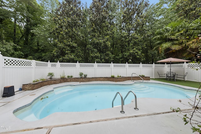 view of swimming pool with a fenced backyard and a patio area