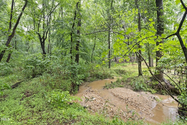 view of tree filled area