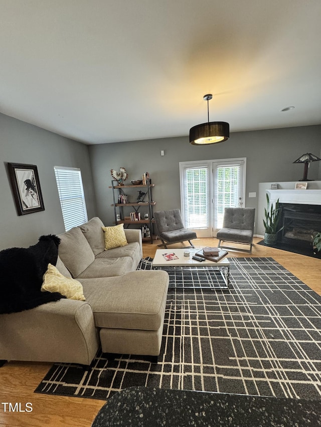 living area with wood finished floors and a fireplace