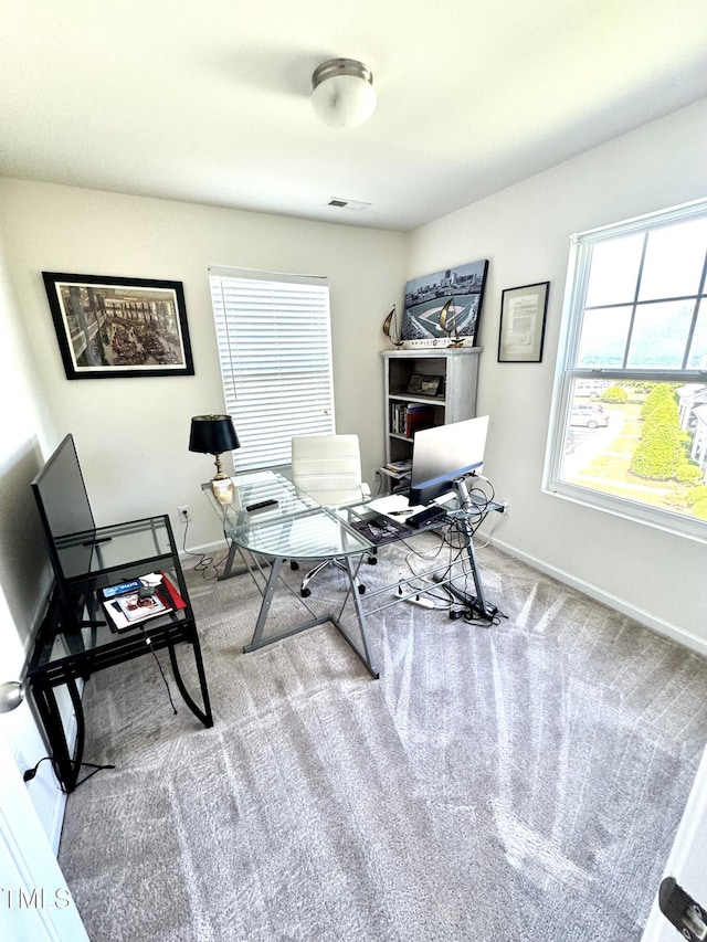 office area featuring baseboards and carpet flooring