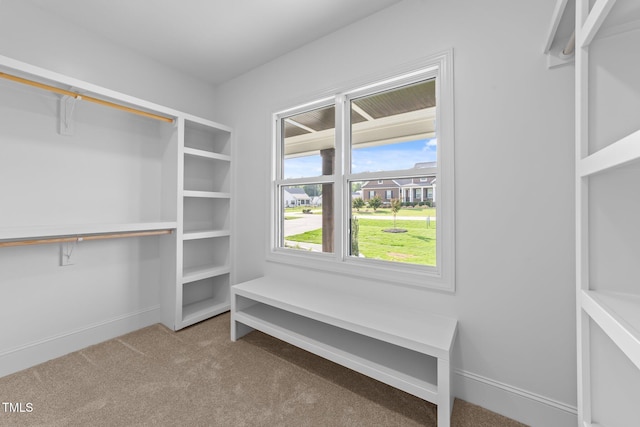 525 Allesandra Dr, Clayton, NC 27527 - walk in closet featuring carpet flooring