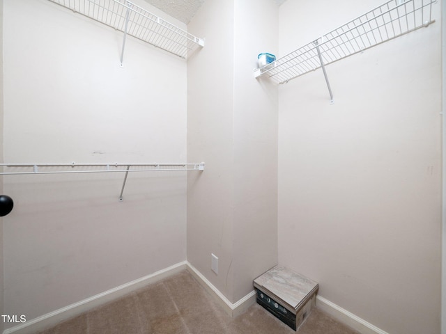1911 Falls Landing Dr Unit 106, Raleigh, NC 27614 - walk in closet featuring carpet floors