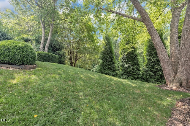 4802 Glenmist Ct, Raleigh, NC 27612 - view of grassy yard