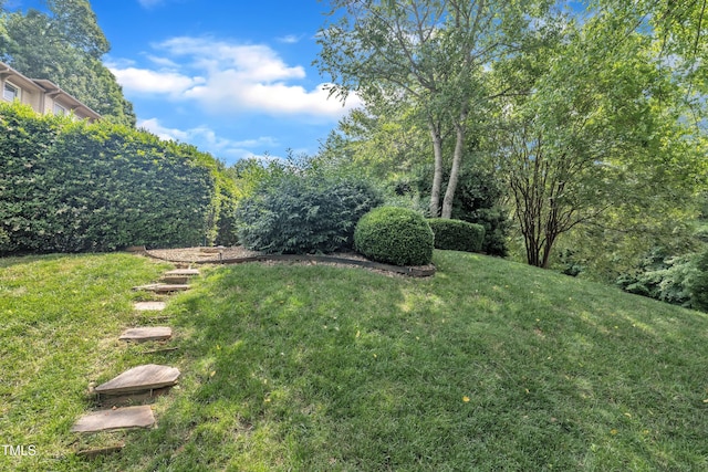 4802 Glenmist Ct, Raleigh, NC 27612 - view of grassy yard