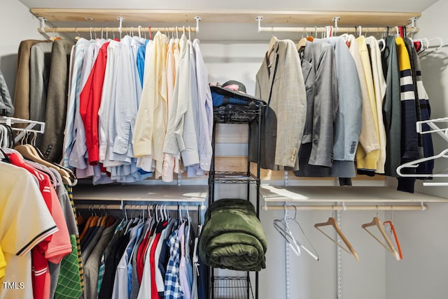 209 White Farm Dr, Wendell, NC 27591 - view of spacious closet