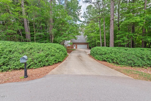 view of front of property with concrete driveway