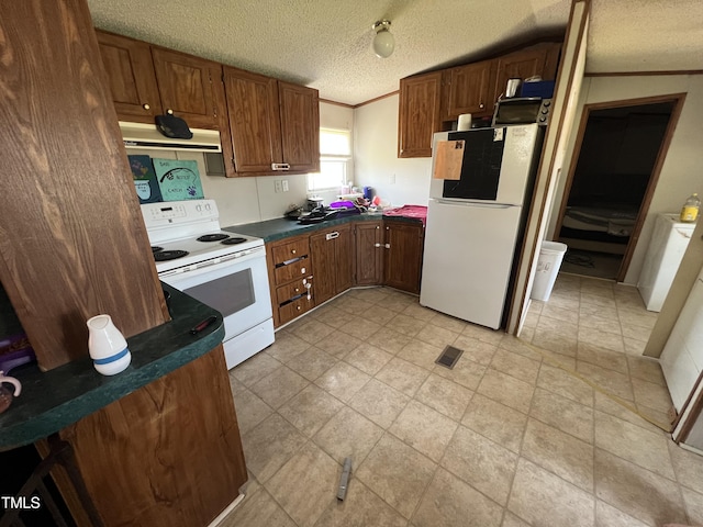4359 W Hornes Church Rd, Bailey, NC 27807 - photo 4