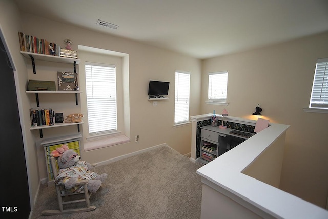 kitchen featuring carpet, baseboards, and healthy amount of natural light
