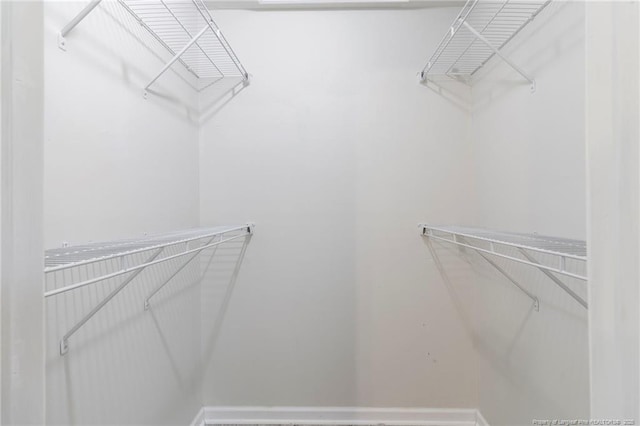 70 Oregon Ln, Spring Lake, NC 28390 - view of walk in closet