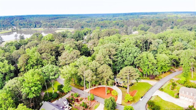 225 Lakeview Dr, Sanford, NC 27332 - aerial view of a forest and a large body of water