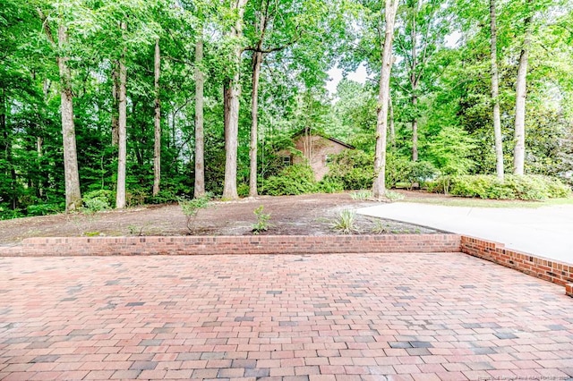 225 Lakeview Dr, Sanford, NC 27332 - view of patio / terrace with decorative driveway